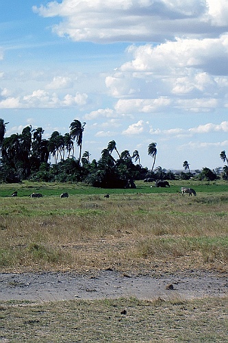 Kenia (252)